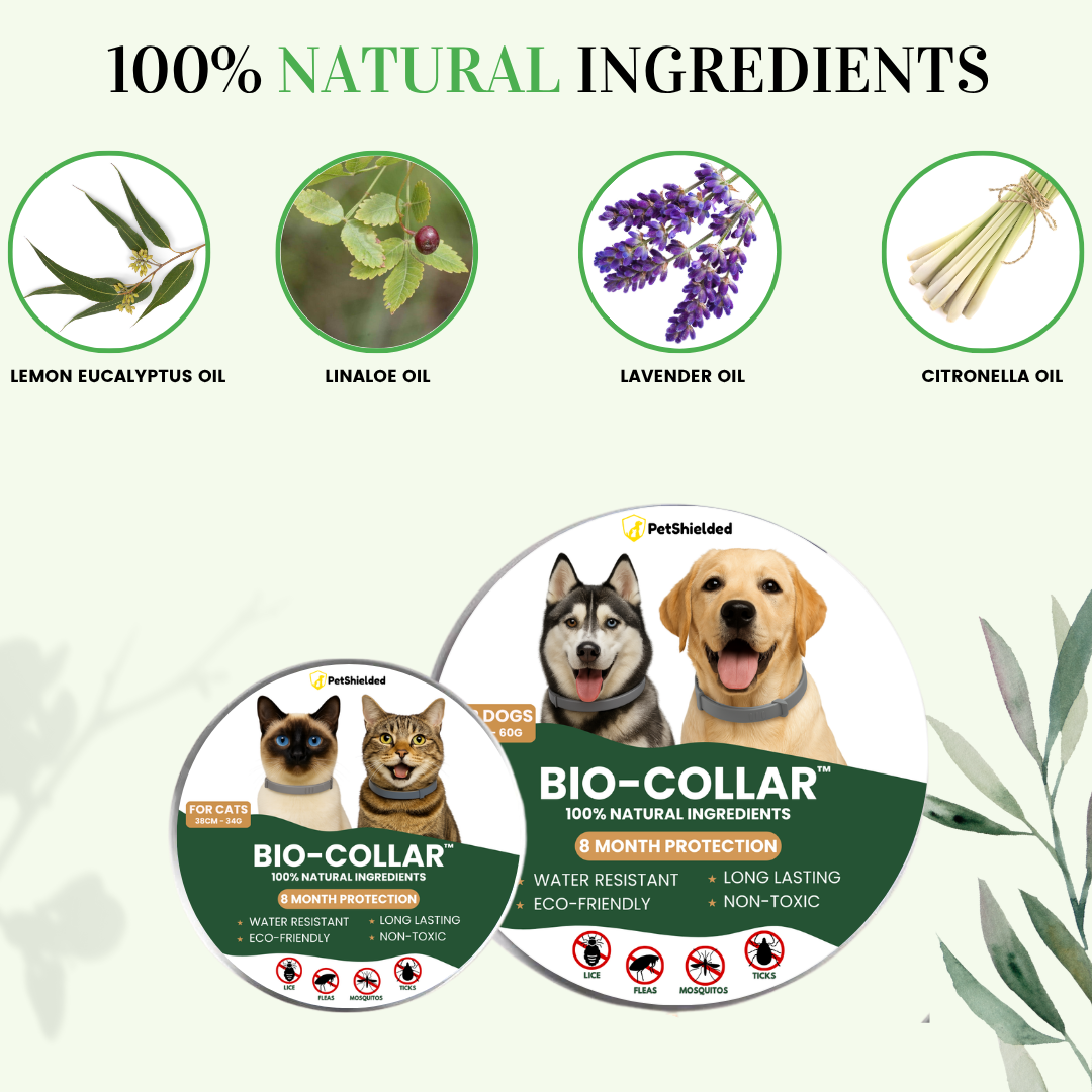 BIO-COLLAR™ 8+ Months Protection against Flea & Tick