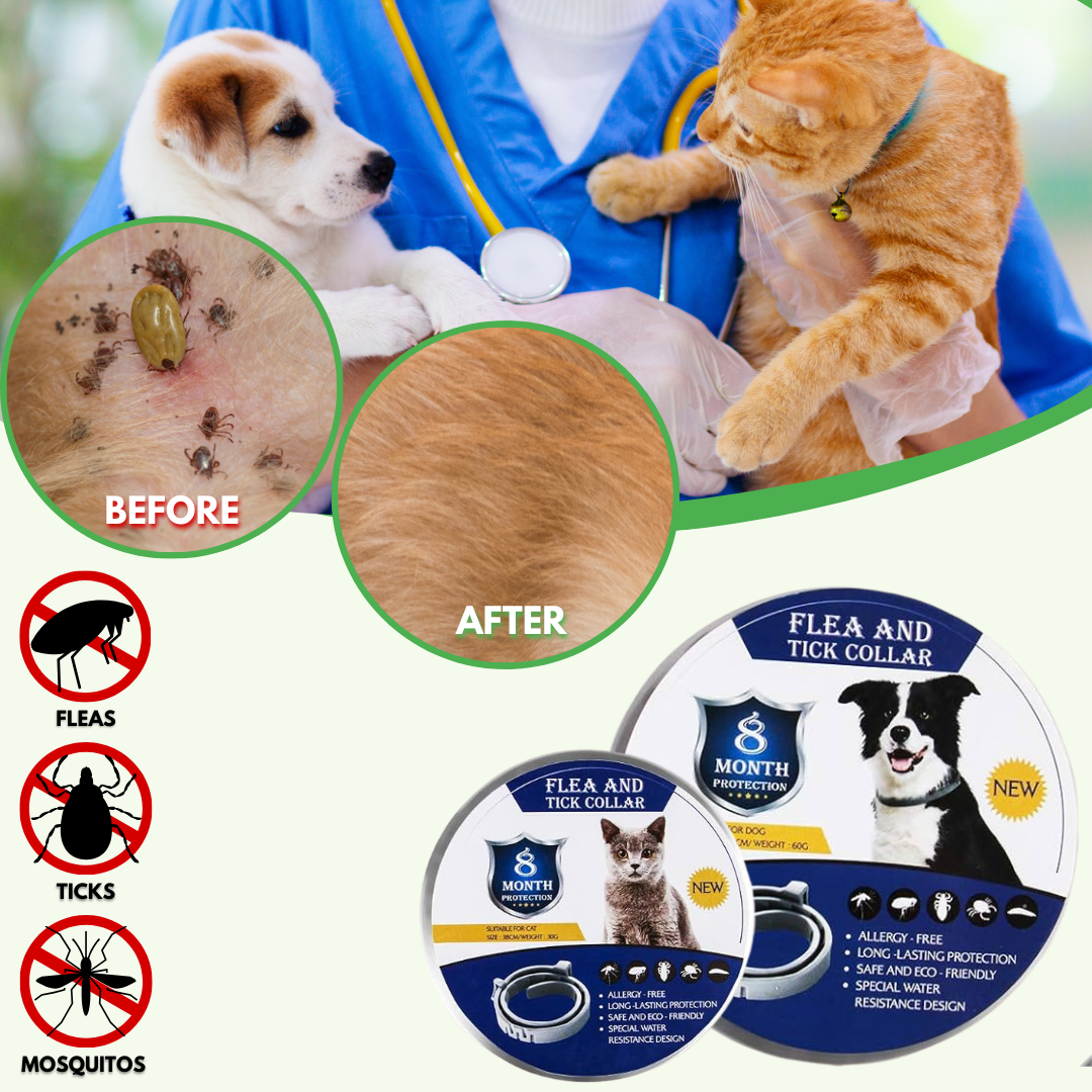 Natural Flea & Tick Collar Tag For Dogs - Waterproof, Adjustable, 8+ Month Protection With 3 Refills, Chemical-Free