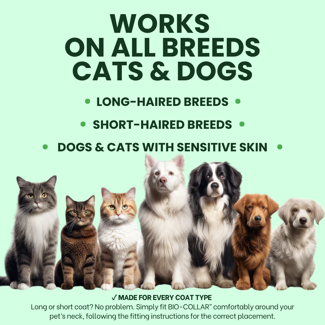 BIO-COLLAR™ - 8 Months Natural Flea & Tick Protection